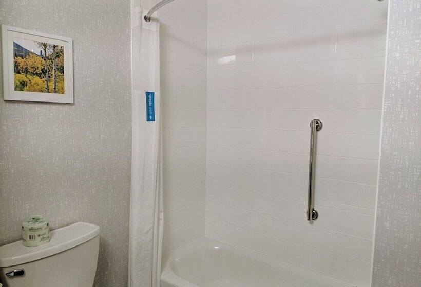 身障者適用スイートルーム, Hampton Inn & Suites Colorado Springs/air Force Academy
