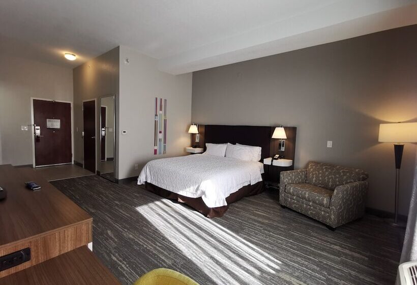 身障者適用スイートルーム, Hampton Inn & Suites Colorado Springs/air Force Academy