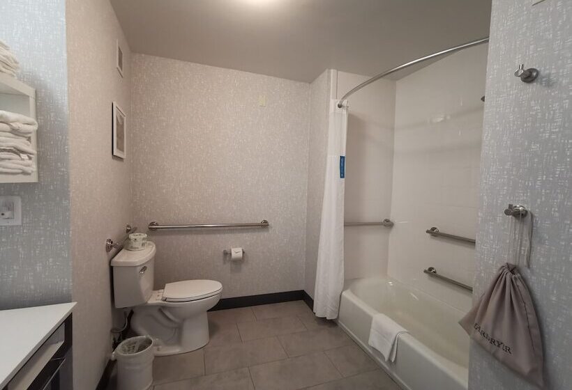 جناح لذوى الاحتياجات الخاصة, Hampton Inn & Suites Colorado Springs/air Force Academy