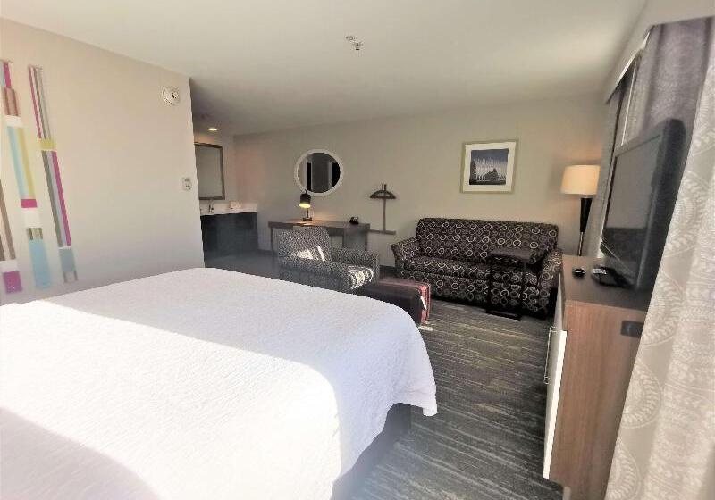 バルコニー付きスタンダードステューディオ, Hampton Inn & Suites Colorado Springs/air Force Academy