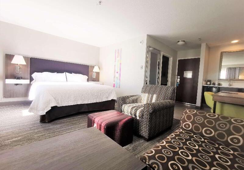 إستديو قياسى مزود بشرفة, Hampton Inn & Suites Colorado Springs/air Force Academy