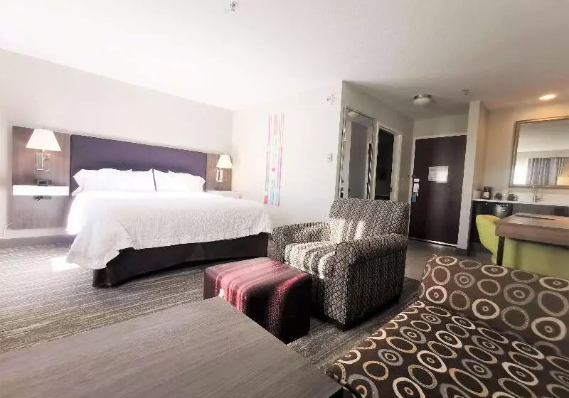 バルコニー付きスタンダードステューディオ, Hampton Inn & Suites Colorado Springs/air Force Academy