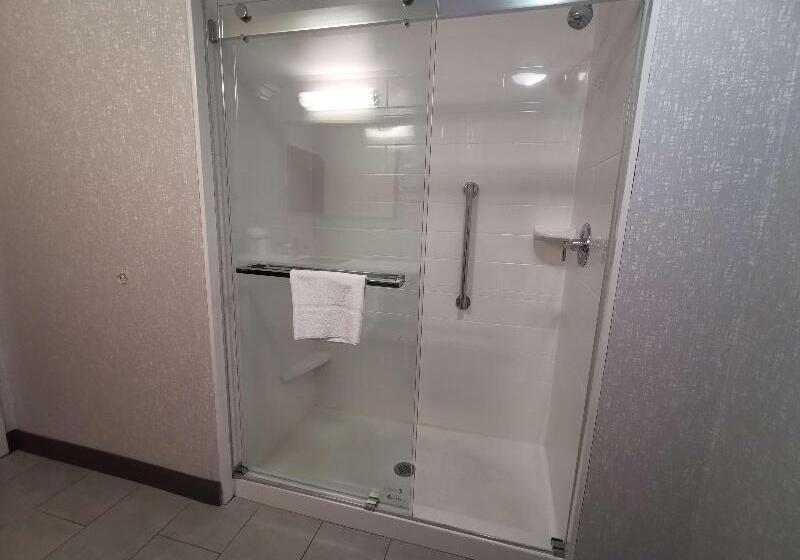 غرفة قياسية سرير كينج, Hampton Inn & Suites Colorado Springs/air Force Academy