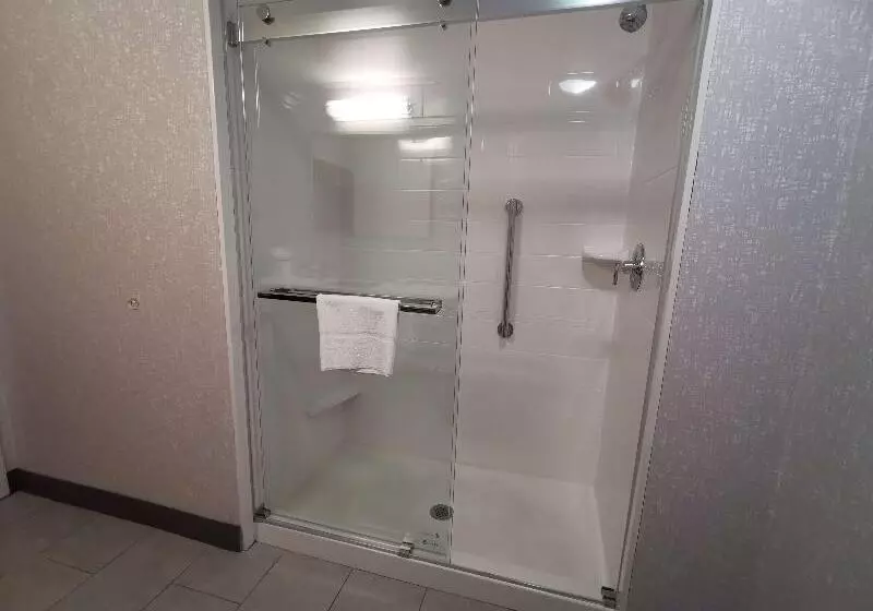 キングサイズベッドのスタンダードルーム, Hampton Inn & Suites Colorado Springs/air Force Academy