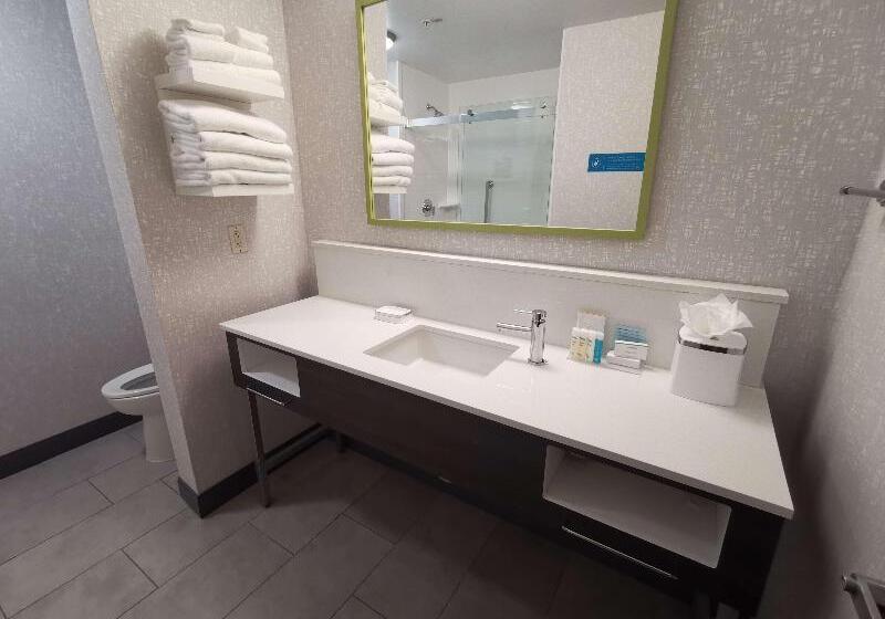 غرفة قياسية سرير كينج, Hampton Inn & Suites Colorado Springs/air Force Academy