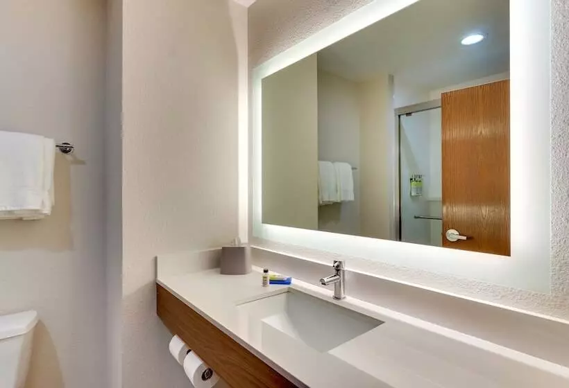 スタンダードルーム, Holiday Inn Express & Suites Lake Worth Northwest Loop 820, An Ihg