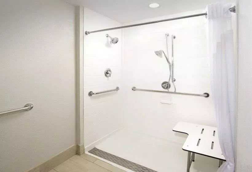 身障者適用スイートルーム, Holiday Inn Express & Suites San Antonio   Downtown Market Area, An Ihg