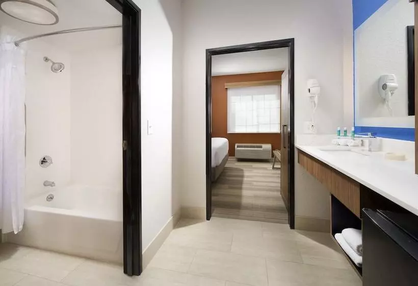 身障者適用スイートルーム, Holiday Inn Express & Suites San Antonio   Downtown Market Area, An Ihg