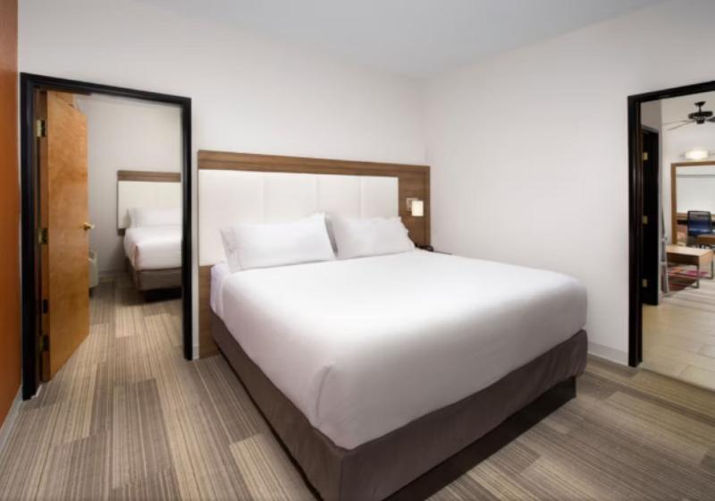 Люкс Адаптированный для Инвалидов, Holiday Inn Express & Suites San Antonio Downtown Market Area, An Ihg