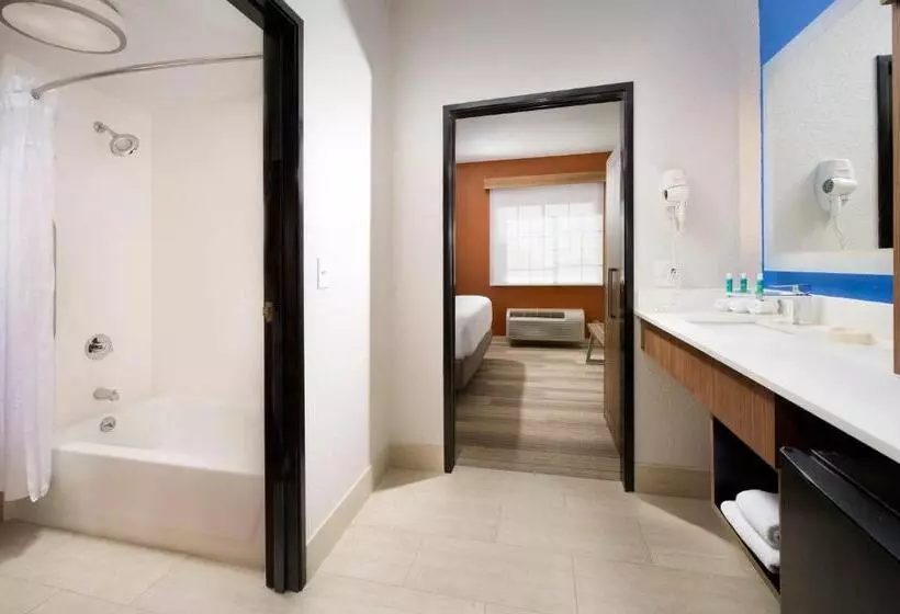 スイート, Holiday Inn Express & Suites San Antonio   Downtown Market Area, An Ihg