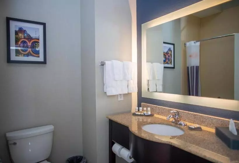 キングサイズベッドのデラックスルーム, La Quinta By Wyndham Houston East At Normandy