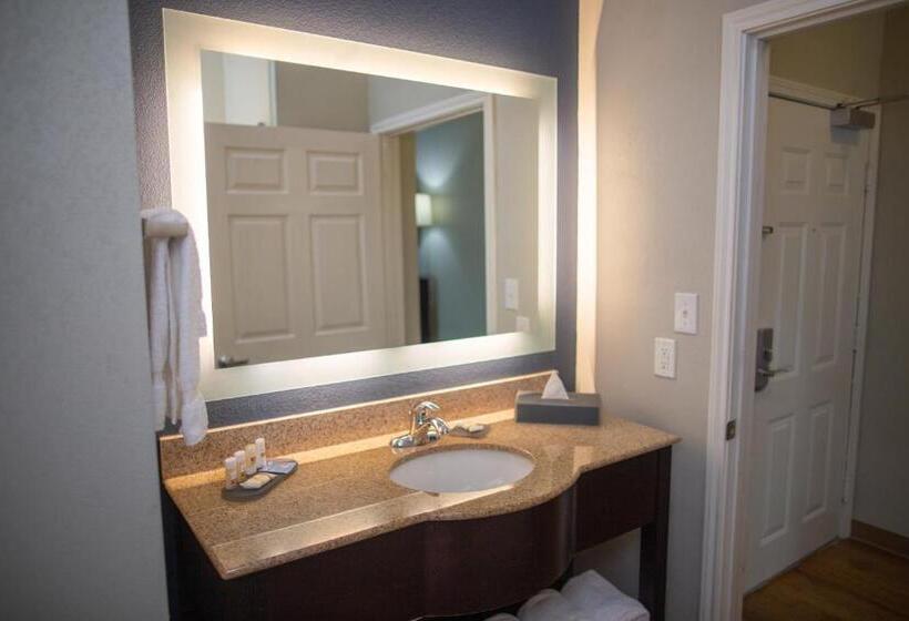 חדר דחוקס עם מיטת קינג, La Quinta By Wyndham Houston East At Normandy