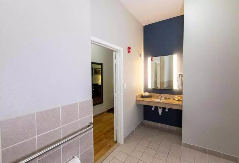 身障者適用スイートルーム, La Quinta By Wyndham Houston East At Normandy