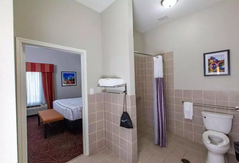 身障者適用スイートルーム, La Quinta By Wyndham Houston East At Normandy