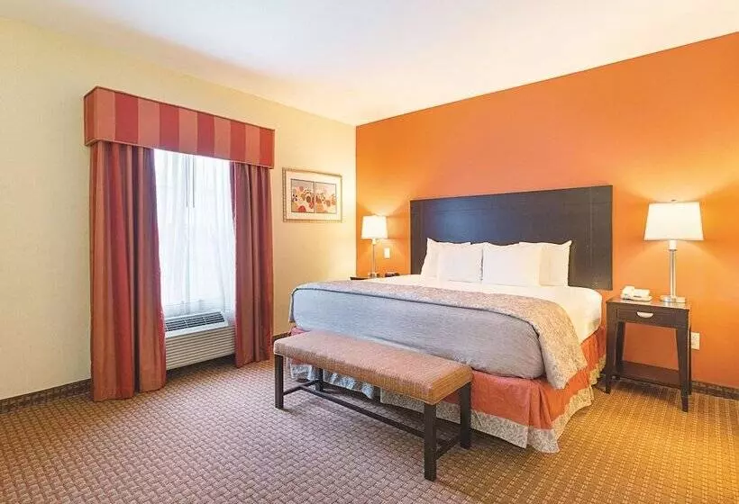 身障者適用スイートルーム, La Quinta By Wyndham Houston East At Normandy