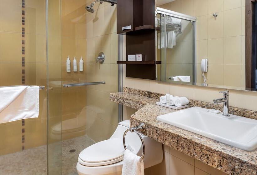 Апартаменты 1 Спальня, Marriott Executive Apartments Panama City, Finisterre