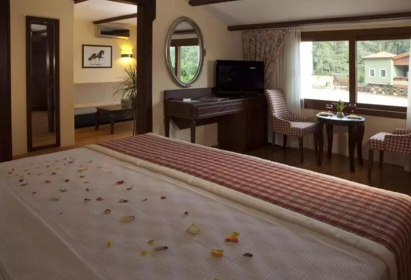 スイート, Padok Premium Hotel And Stables