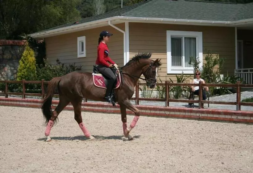 ビラホテル１ベッドルーム, Padok Premium Hotel And Stables