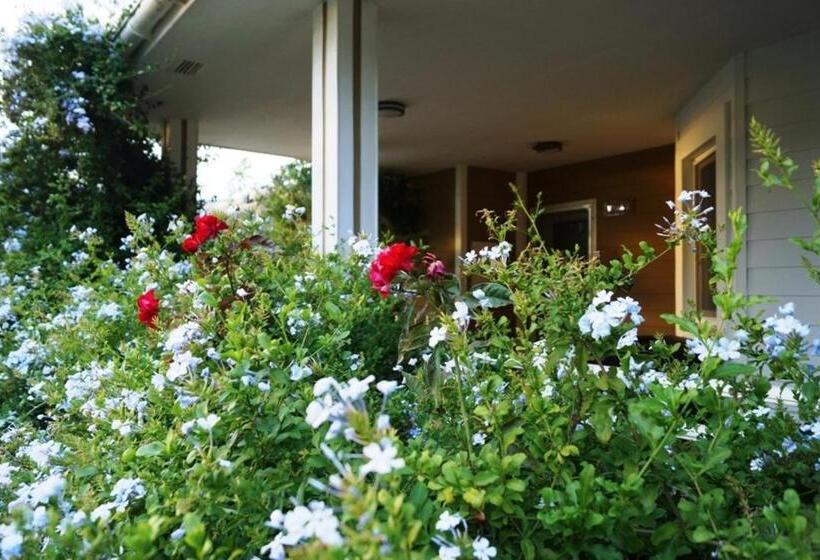 וילה בת חדר שינה 1, Padok Premium Hotel And Stables