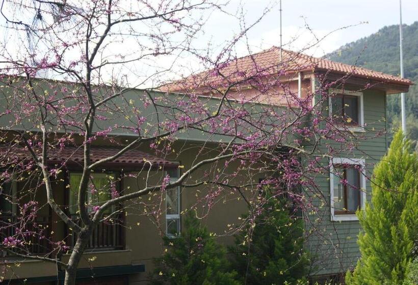 סוויטת דופלקס, Padok Premium Hotel And Stables