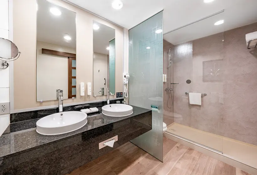 اتاق اجرایی با تخت بزرگ, Hotel Riu Plaza Panama