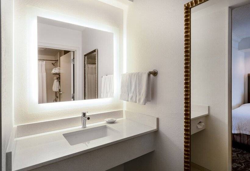 جناح, Springhill Suites By Marriott Colorado Springs South