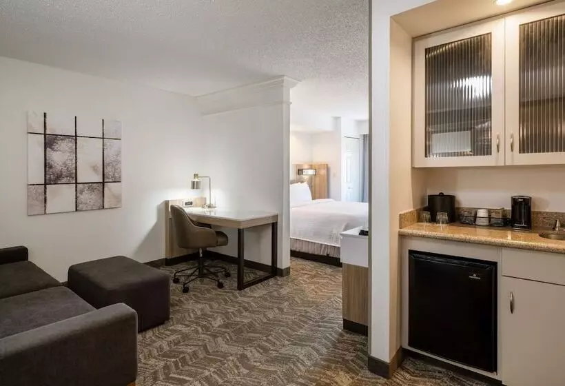 スイート, Springhill Suites By Marriott Colorado Springs South