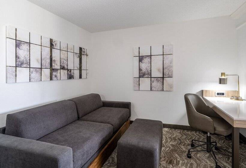 جناح, Springhill Suites By Marriott Colorado Springs South