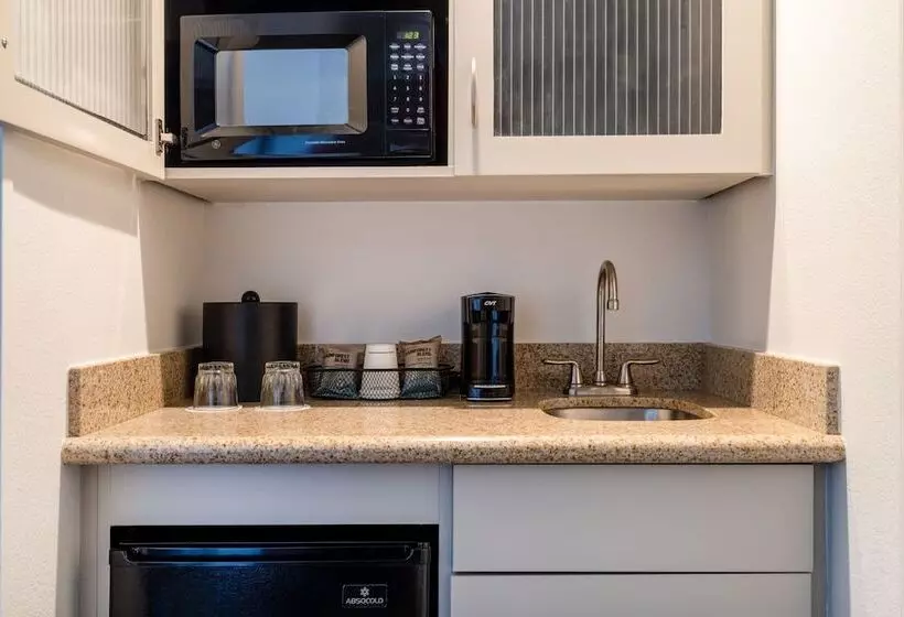 身障者適用スタンダードルーム, Springhill Suites By Marriott Colorado Springs South