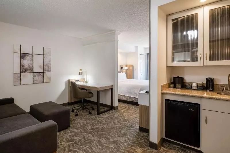 キングサイズベッドのスイートルーム, Springhill Suites By Marriott Colorado Springs South