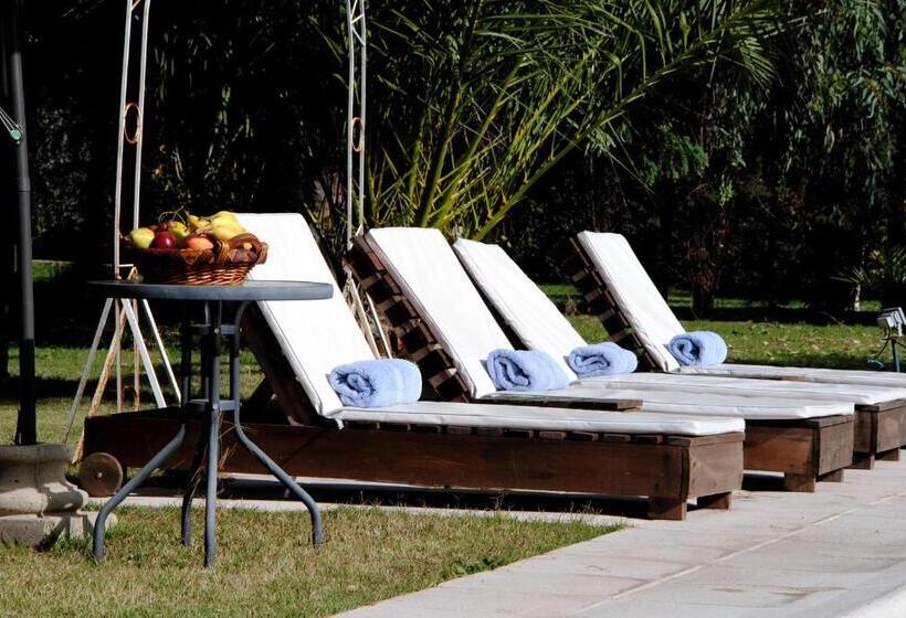 スタンダードルーム, Suter Petit