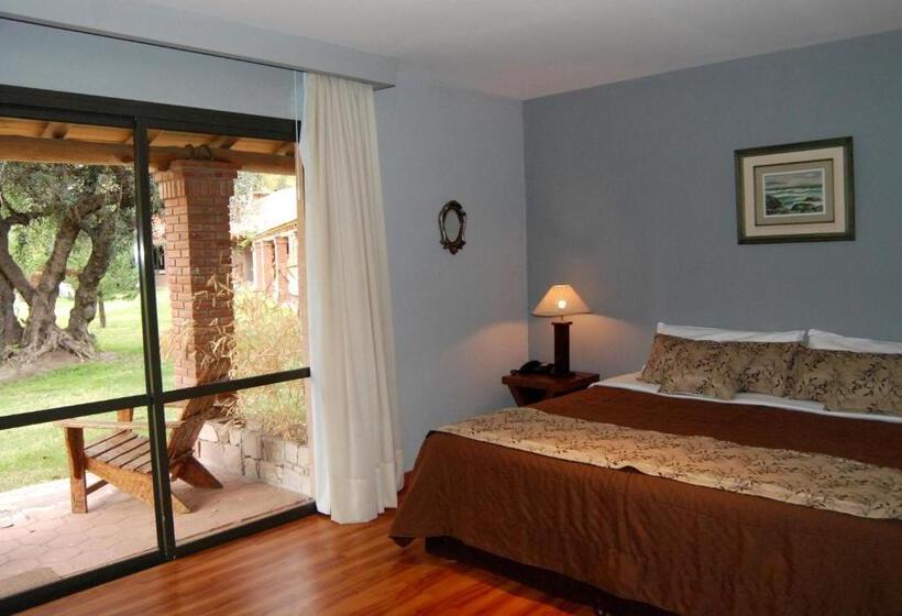 スーペリアールーム, Suter Petit