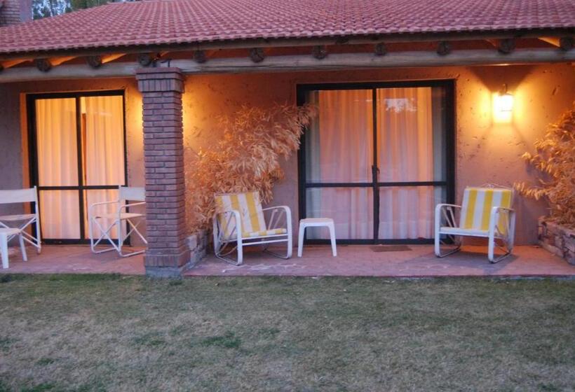 スーペリアールーム, Suter Petit