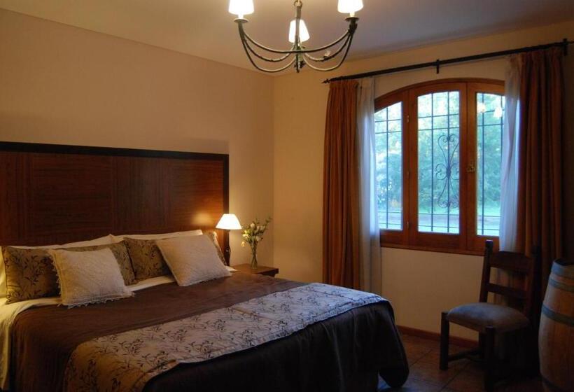 スイート, Suter Petit