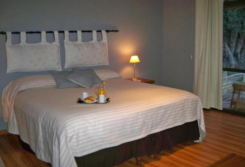 スタンダードルーム, Suter Petit