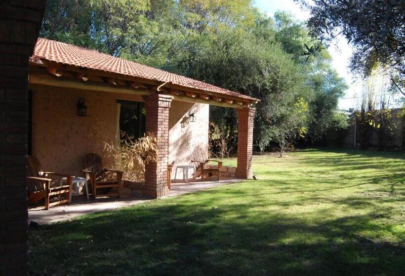 スーペリアールーム, Suter Petit