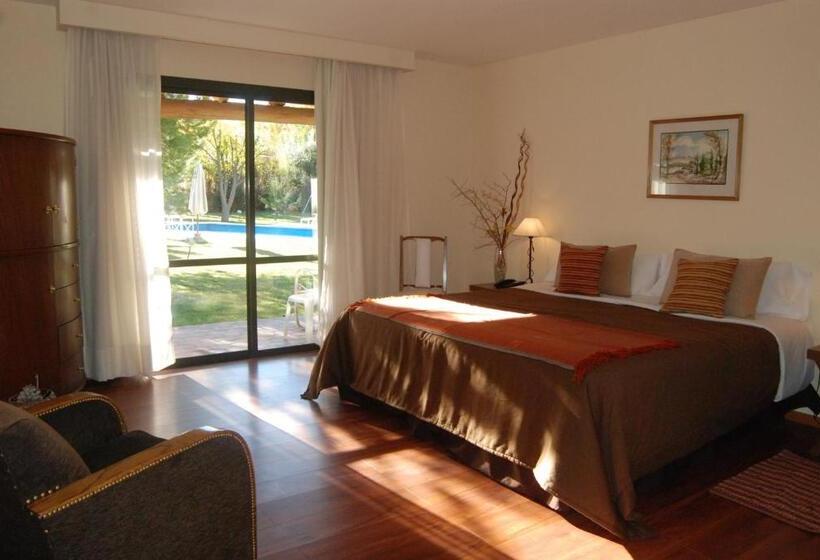 スーペリアールーム, Suter Petit