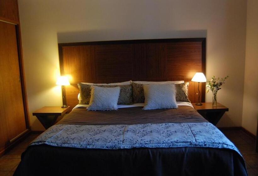 スーペリアールーム, Suter Petit