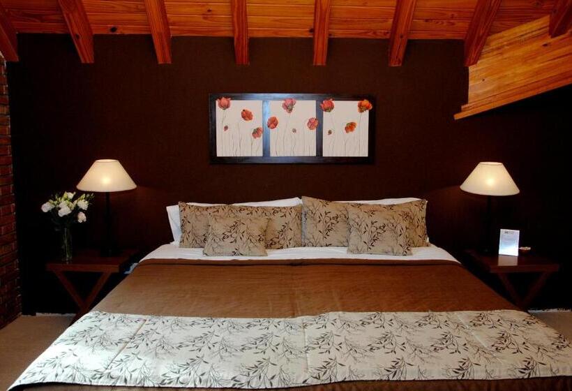 スイート, Suter Petit