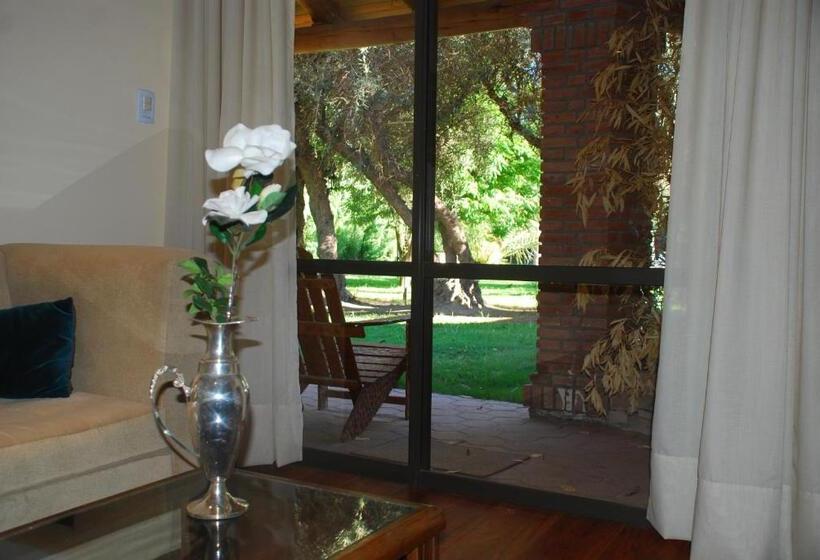 スイート, Suter Petit