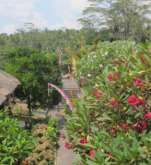 Студия Deluxe, Tanah Merah Art Resort