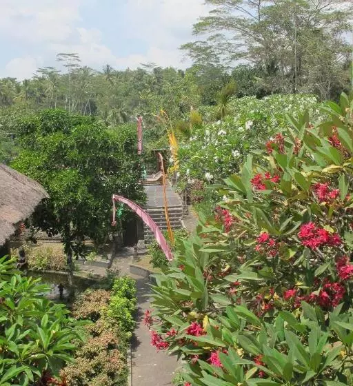 استودیوی لوکس, Tanah Merah Art Resort