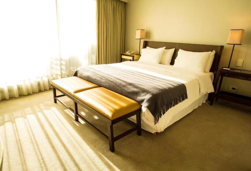 اتاق سوپریور, Libertad Hotel Buenos Aires