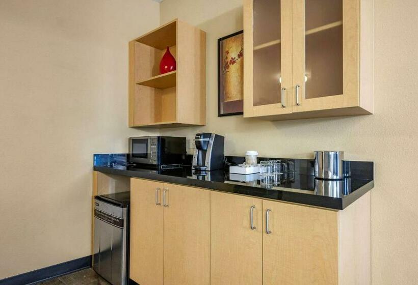 스위트 킹사이즈 침대, Cambria Hotel Ft Lauderdale, Airport South & Cruise Port