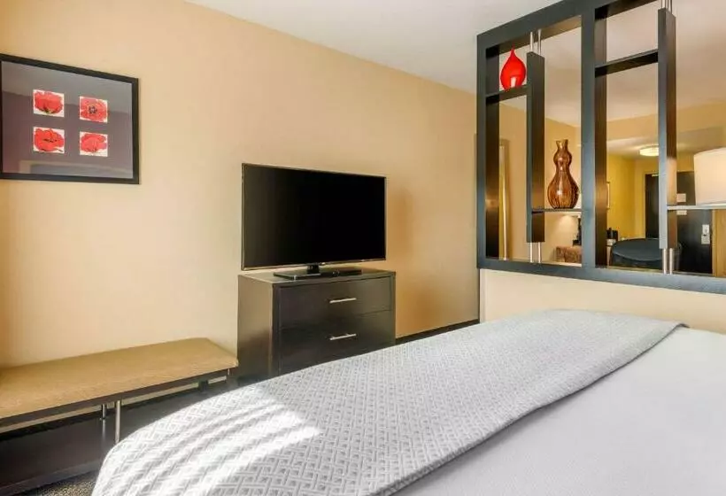 キングサイズベッドのスイートルーム, Cambria Hotel Ft Lauderdale, Airport South & Cruise Port