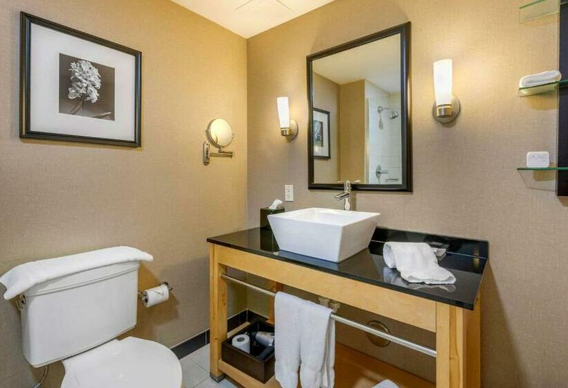 스위트 킹사이즈 침대, Cambria Hotel Ft Lauderdale, Airport South & Cruise Port