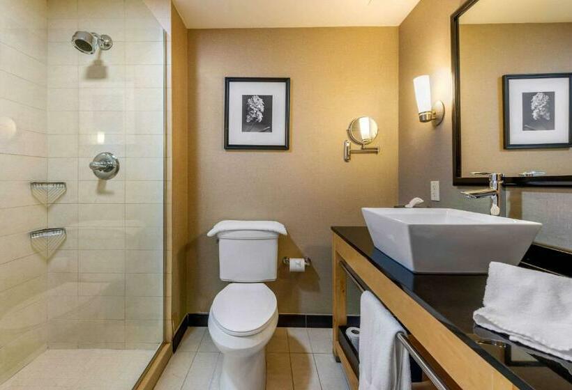 스위트 킹사이즈 침대, Cambria Hotel Ft Lauderdale, Airport South & Cruise Port