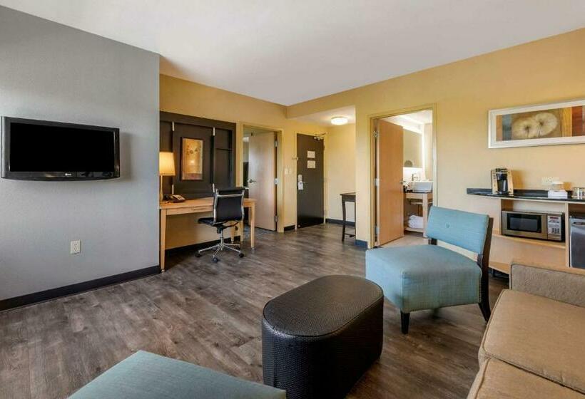 스위트, Cambria Hotel Ft Lauderdale, Airport South & Cruise Port