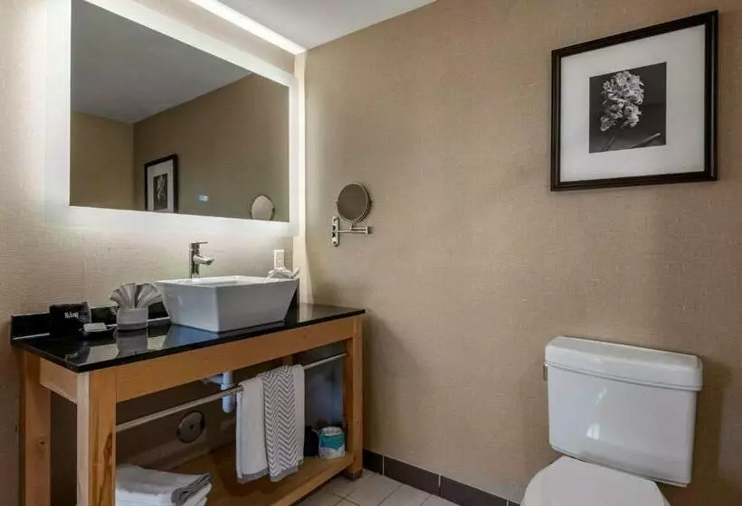 スイート, Cambria Hotel Ft Lauderdale, Airport South & Cruise Port
