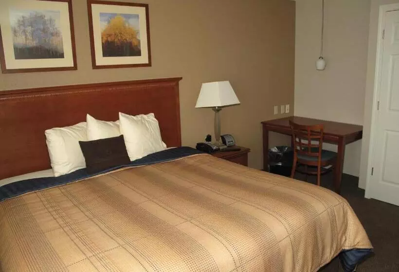 キングサイドベッドのスタンダードワンルーム, Candlewood Suites Elgin – Northwest Chicago, An Ihg